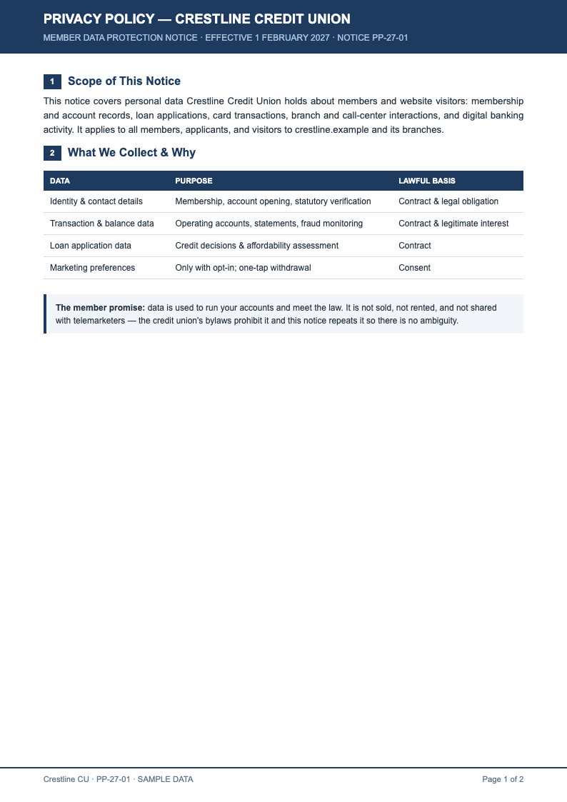 Executive summary privacy policy